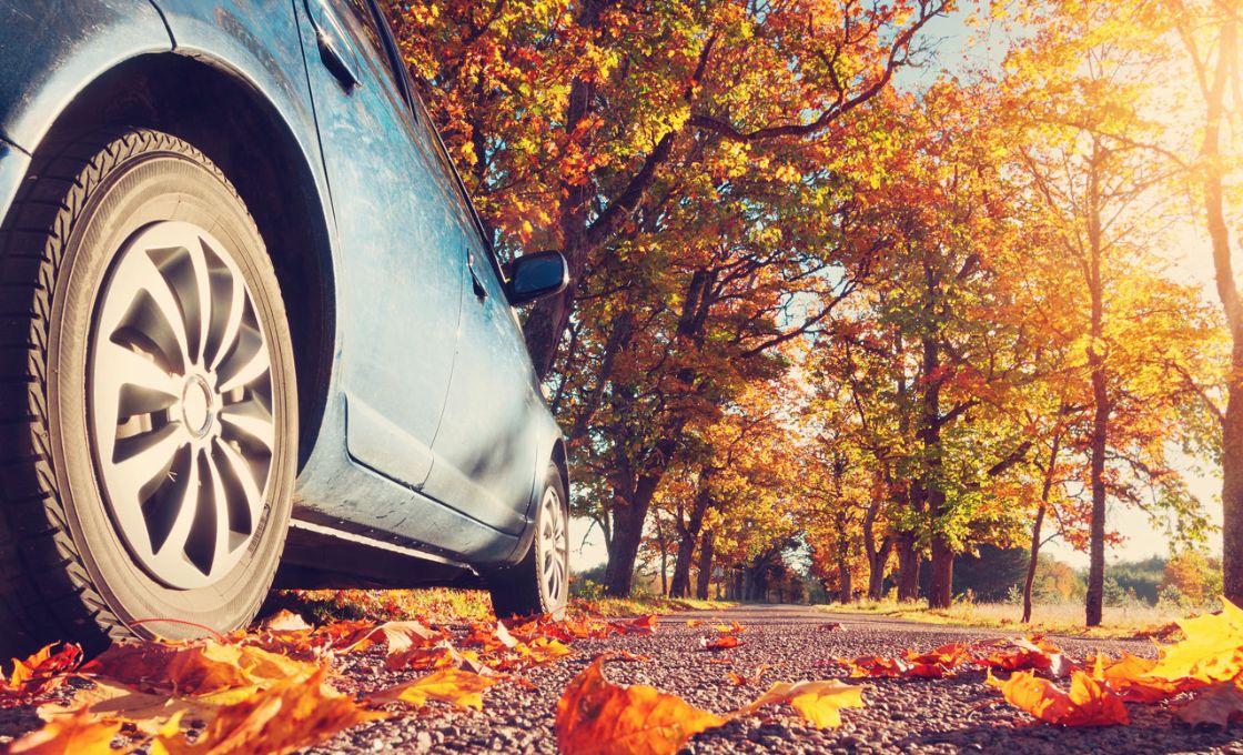 Sabe como preparar o seu carro para o outono? Blog MyForce