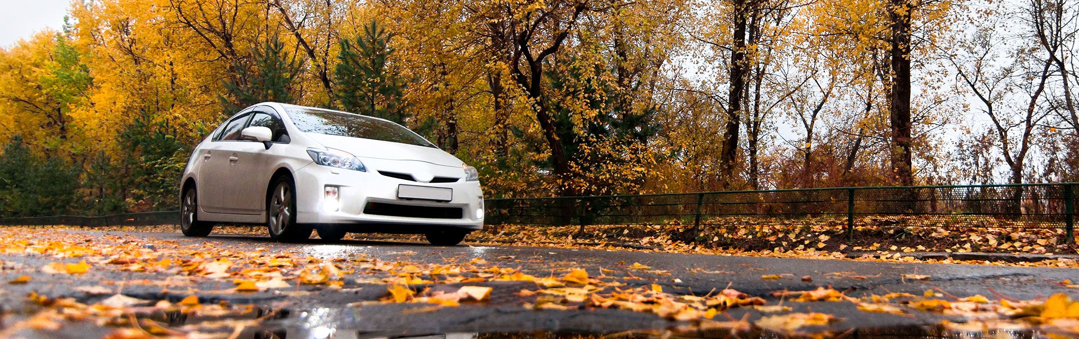 Como preparar o seu carro para o Outono | Conselhos e Blog MyForce