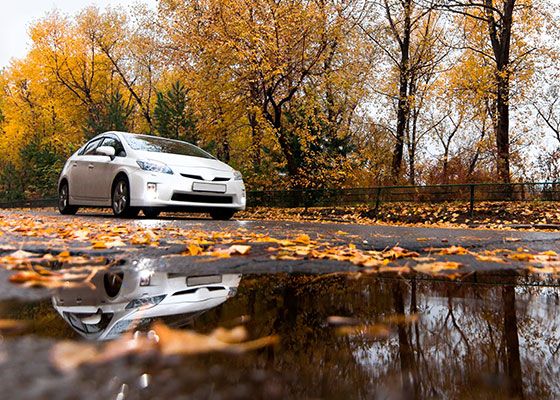 Como preparar o seu carro para o Outono | Conselhos e Blog MyForce